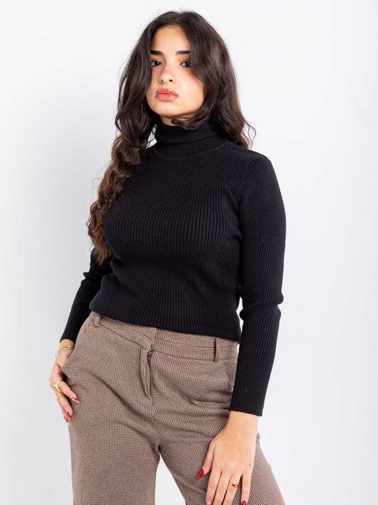 Ribbed Knit Turtleneck