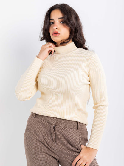 Ribbed Knit Turtleneck