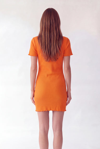 Essential Ribbed Knit Shift Dress